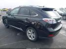 Lexus RX Image 9
