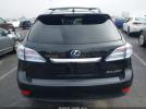 Lexus RX Image 12