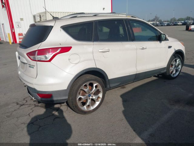 Ford Escape Titanium Image 2