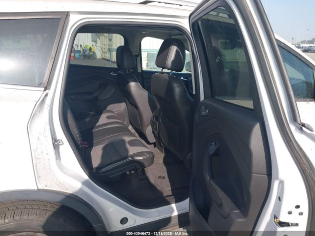 Ford Escape Titanium Image 7