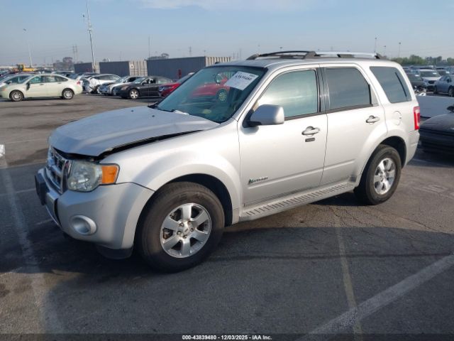 Ford Escape Limited Image 6