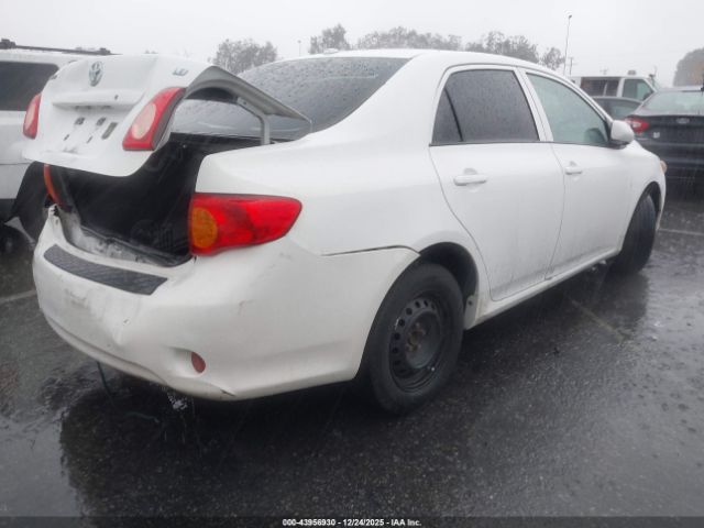 Toyota Corolla Le Image 5