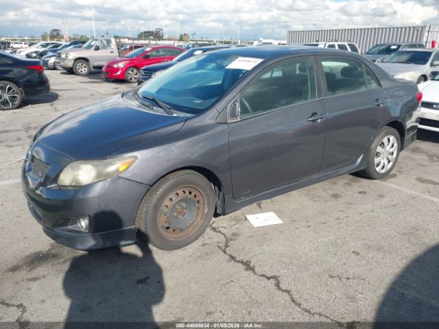 Toyota Corolla S Image 7