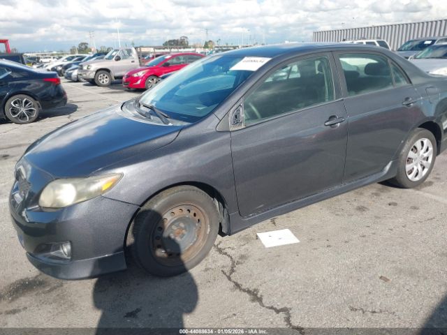 Toyota Corolla S Image 3