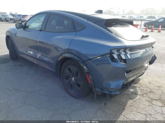 Ford Mustang California Route 1 Image 18
