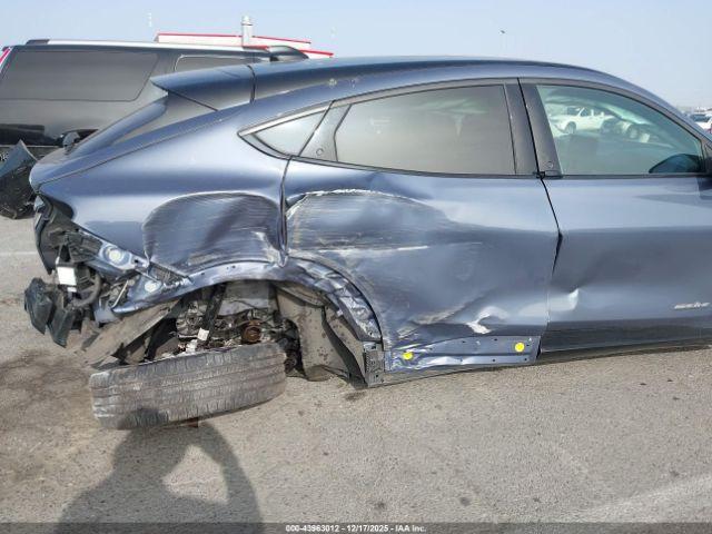 Ford Mustang California Route 1 Image 12