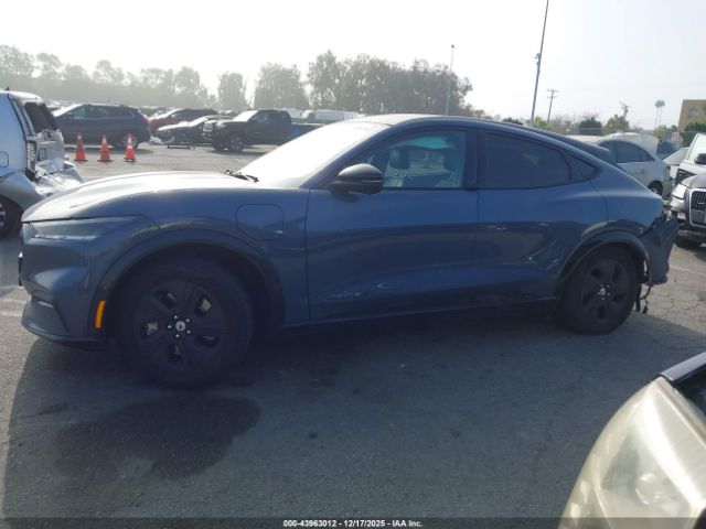 Ford Mustang California Route 1 Image 13