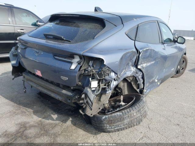 Ford Mustang California Route 1 Image 19