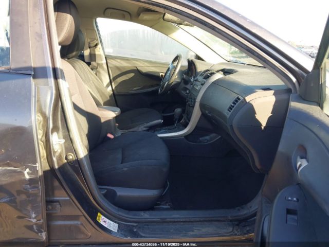 Toyota Corolla S Image 10