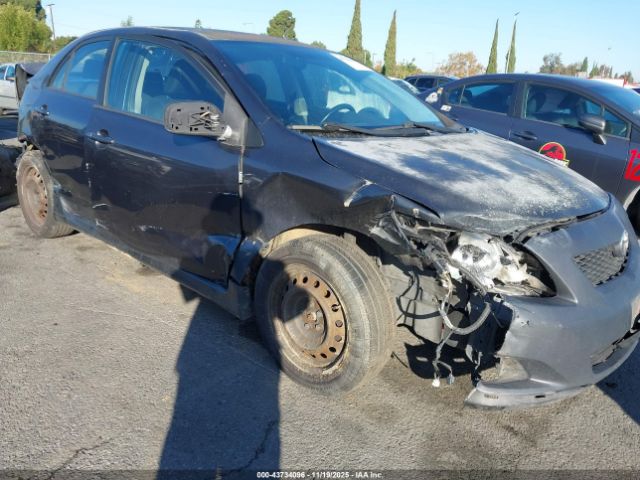 Toyota Corolla S Image 6