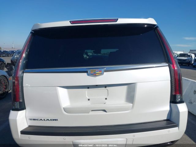 Cadillac Escalade Platinum Image 13