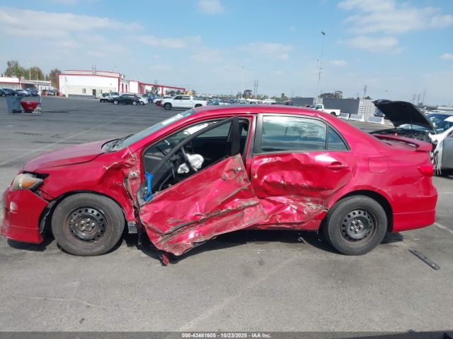 Toyota Corolla S Image 8