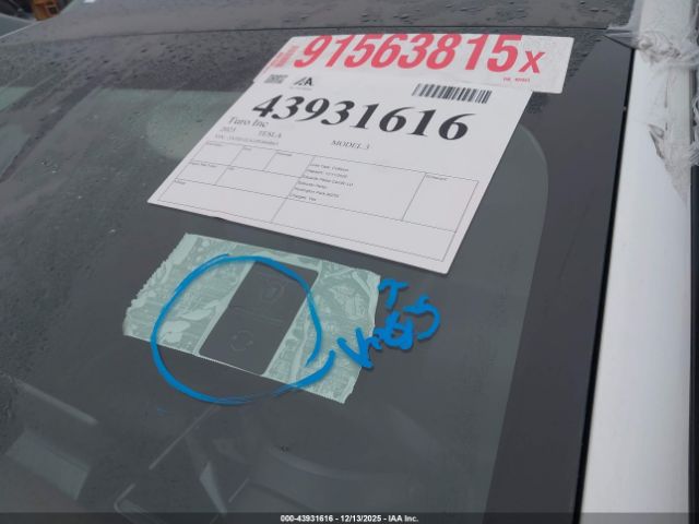 Tesla Model 3 Rear-wheel Drive Image 4