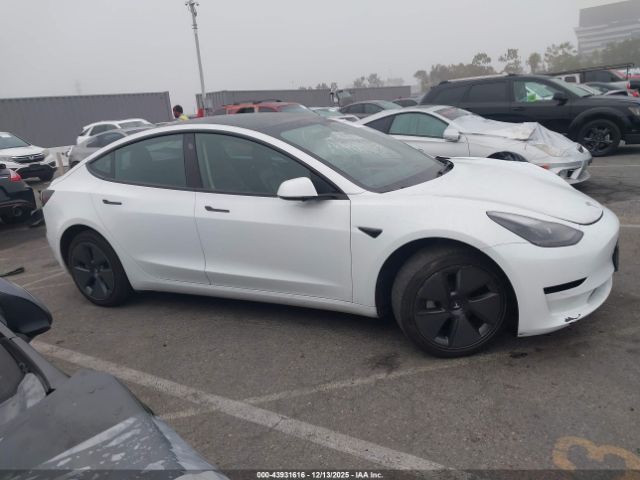 Tesla Model 3 Rear-wheel Drive Image 8